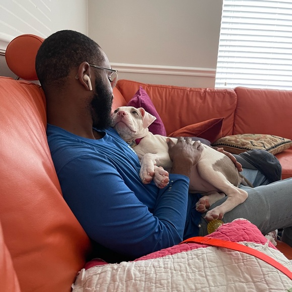 Meet your Posher, Phaedra - Picture 10 of 13